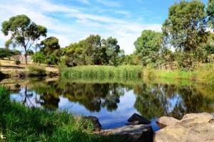 retention ponds