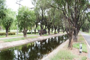 bioretention systems, stormwater mitigaiton