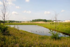 Bioretention Ponds in Maryland: Benefits and Maintenance Needs