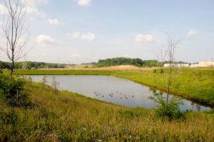 Retention vs. Detention Ponds