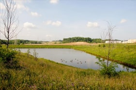 Storm Water Management