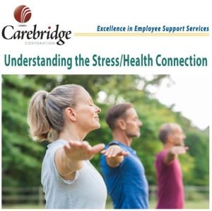 Understanding the Stress and Health Connection