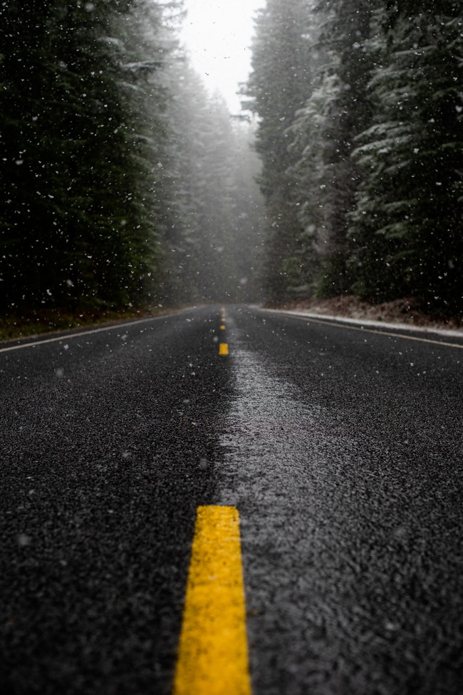 black wet road with yellow dotted center line in evergreen forest