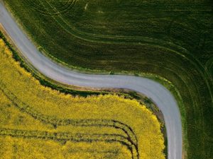 Commercial Asphalt Paving in Spring